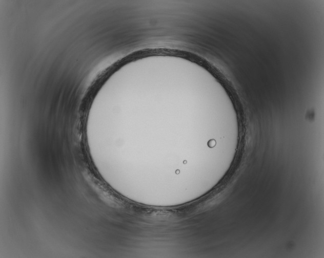 X0000116630974200912312156