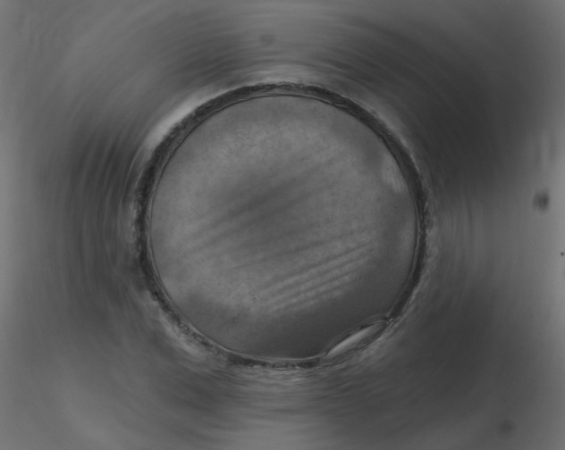 X0000116630975200912312156