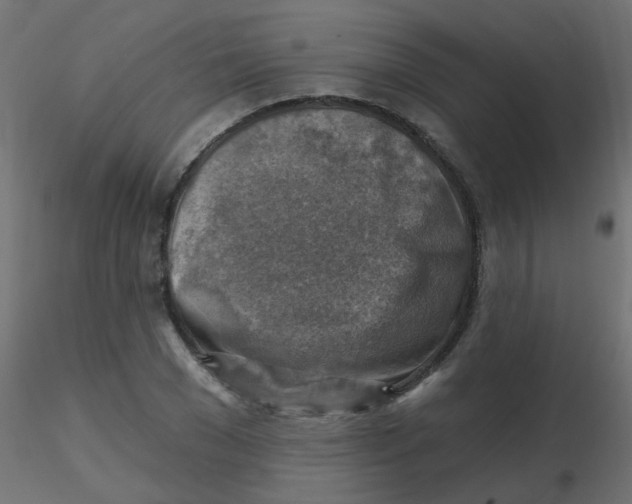X0000116630977200912312156