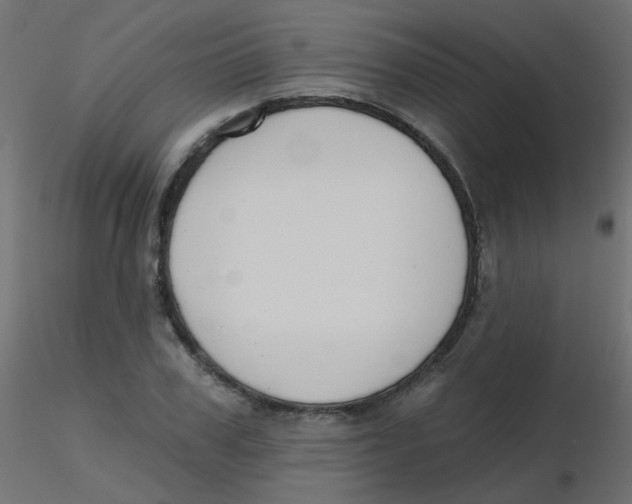 X0000116630979200912312156