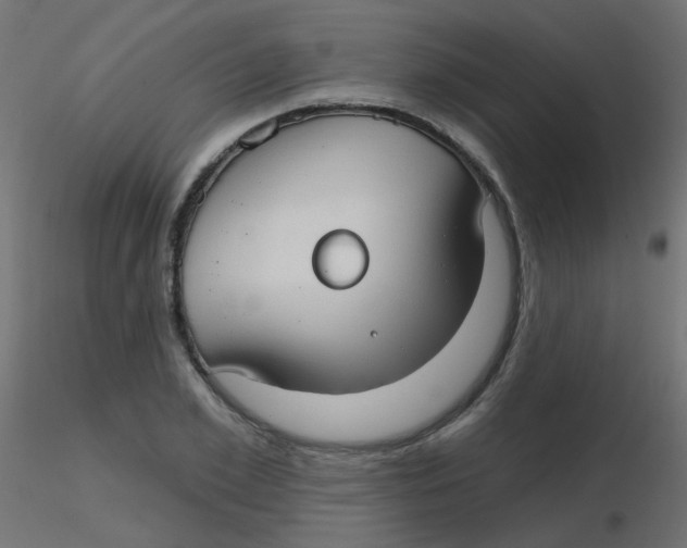 X0000116630981200912312156