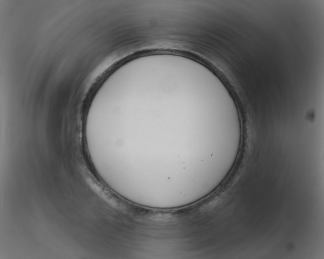 X0000116630982200912312156