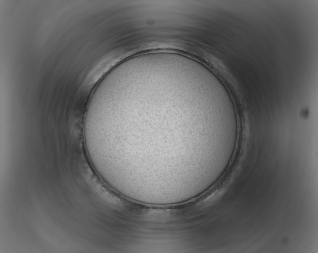 X0000116630985200912312156