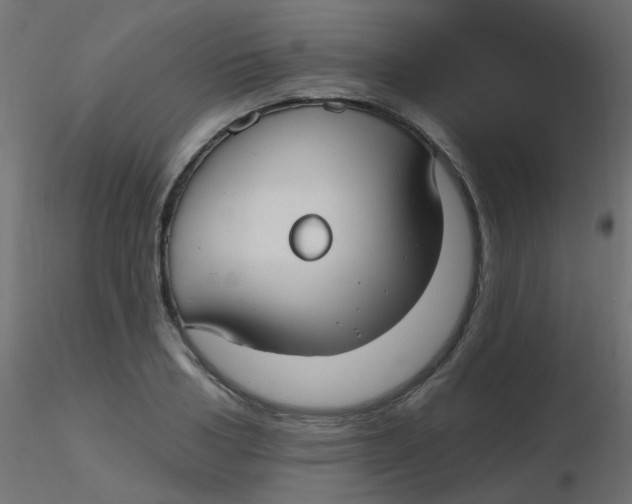 X0000116630986200912312156