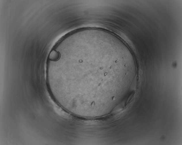 X0000116630988200912312156