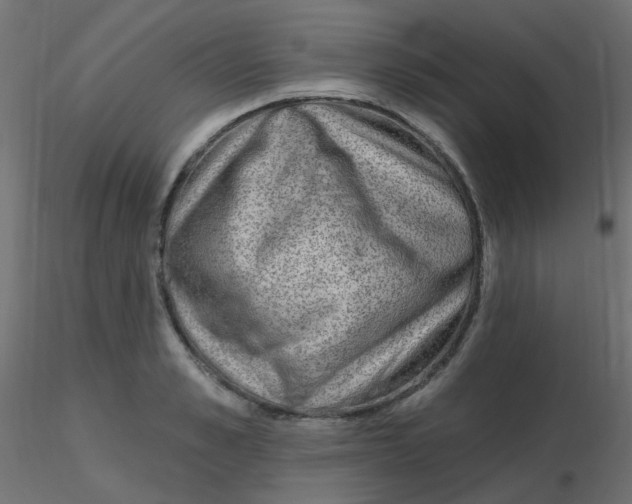X0000116630989200912312156