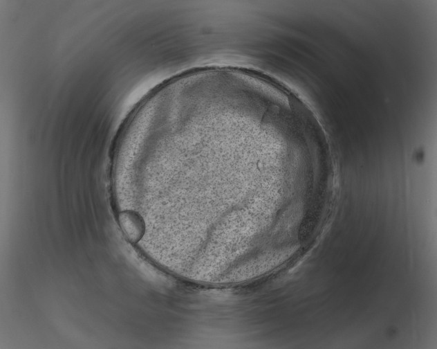X0000116630990200912312156
