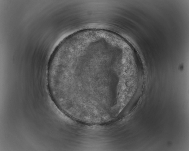 X0000116630992200912312156