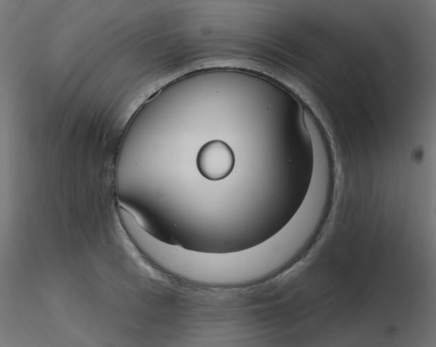 X0000116630993200912312156