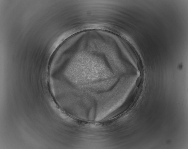 X0000116630994200912312156