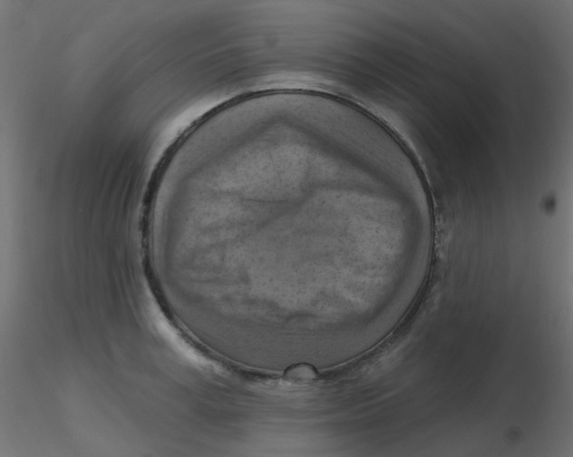 X0000116630995200912312156