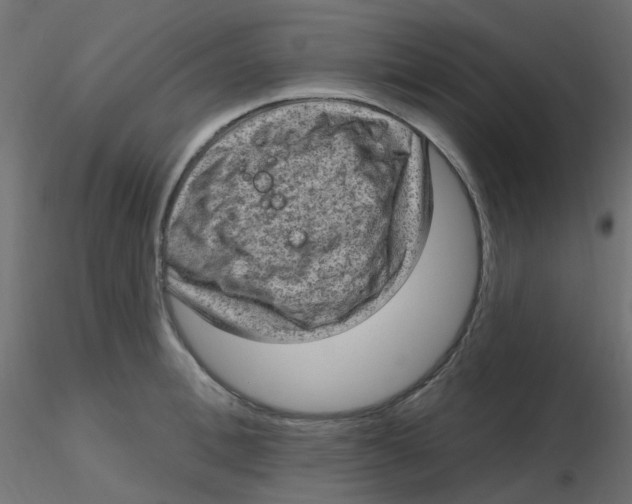 X0000116630996200912312156