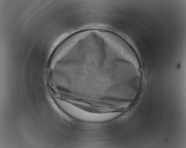 X0000116630997200912312156
