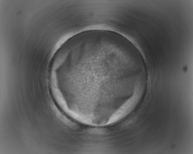 X0000116630998200912312156