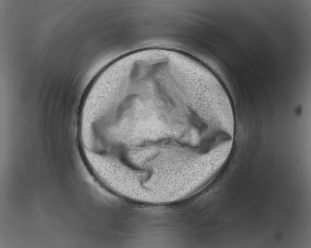 X0000116630999200912312156