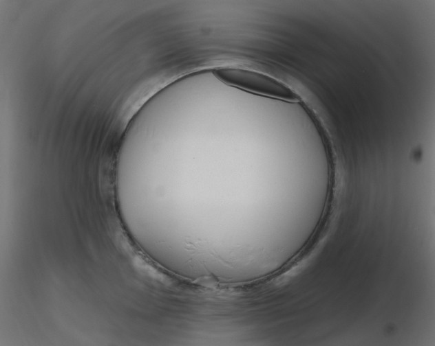 X0000116631001200912312156