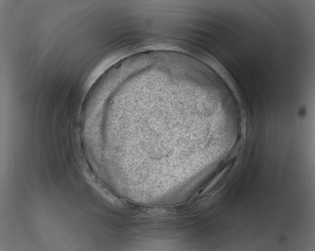 X0000116631002200912312156