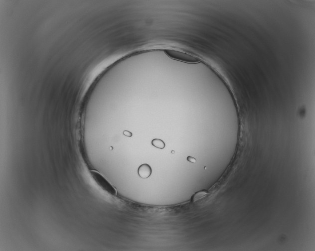 X0000116631003200912312156