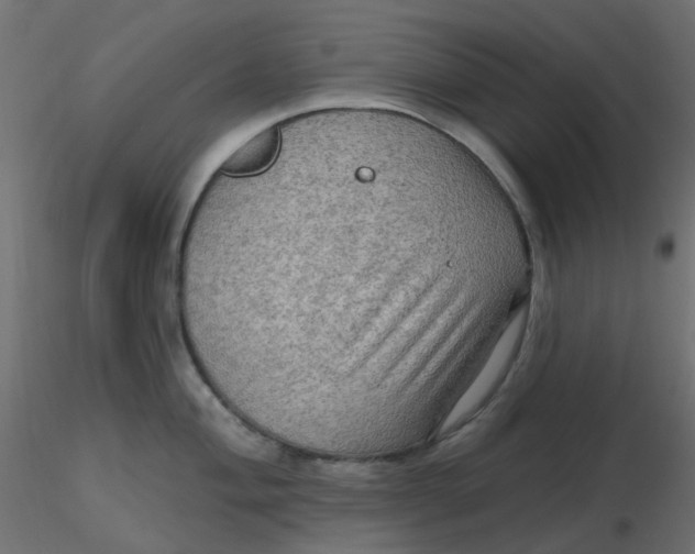 X0000116631004200912312156