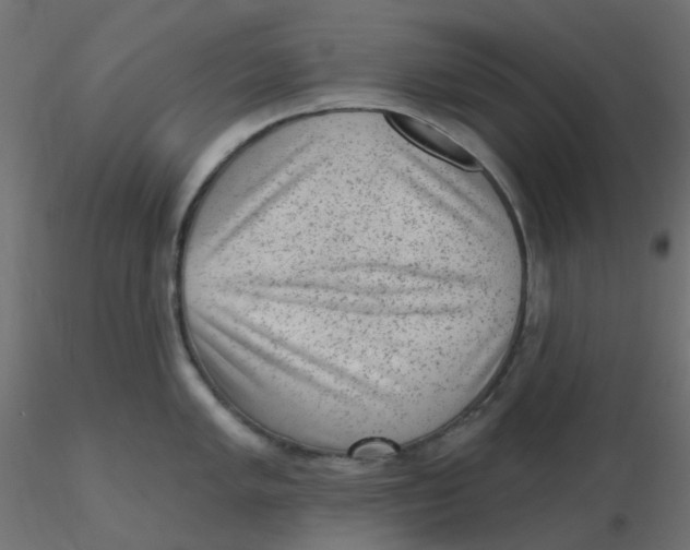 X0000116631005200912312156