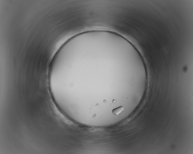 X0000116631006200912312156