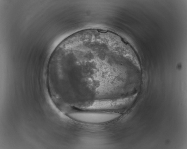 X0000116631007200912312156