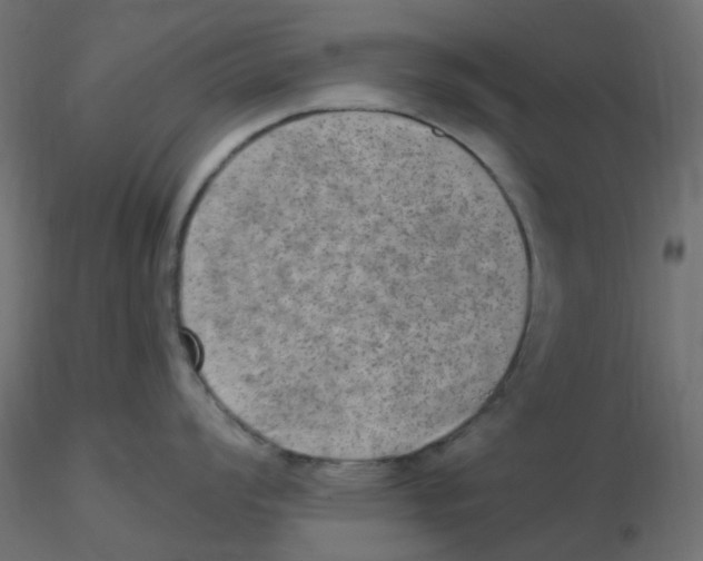 X0000116631008200912312156