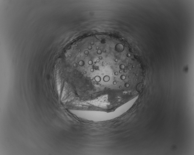 X0000116631009200912312155