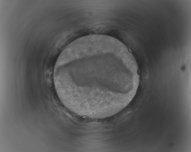 X0000116631010200912312155
