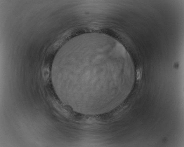 X0000116631011200912312155