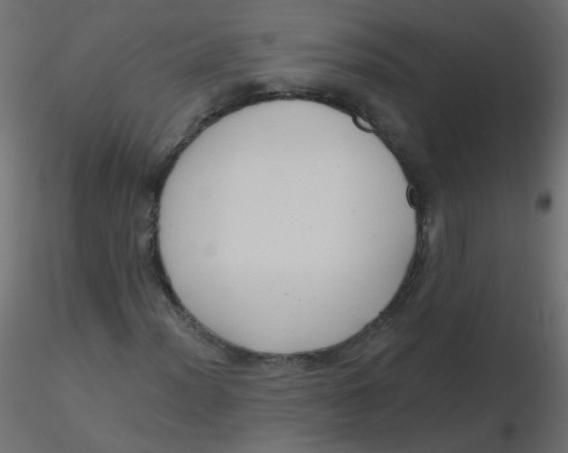 X0000116631012200912312155