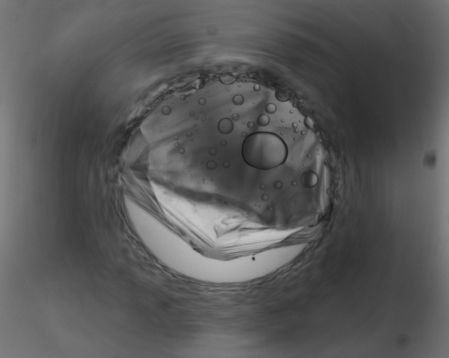 X0000116631013200912312155