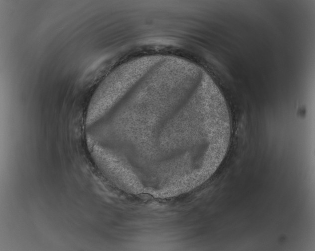 X0000116631014200912312155