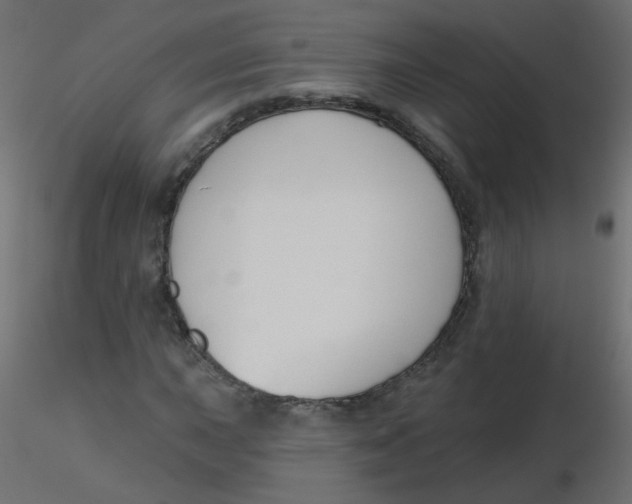 X0000116631015200912312155