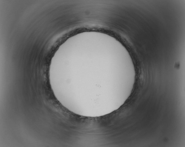 X0000116631016200912312155