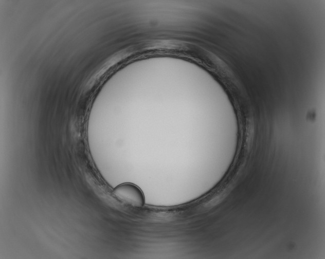 X0000116631017200912312155
