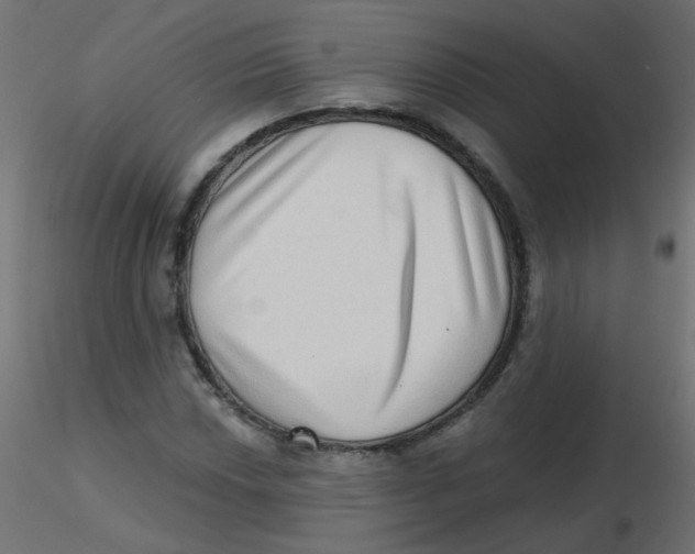 X0000116631018200912312155