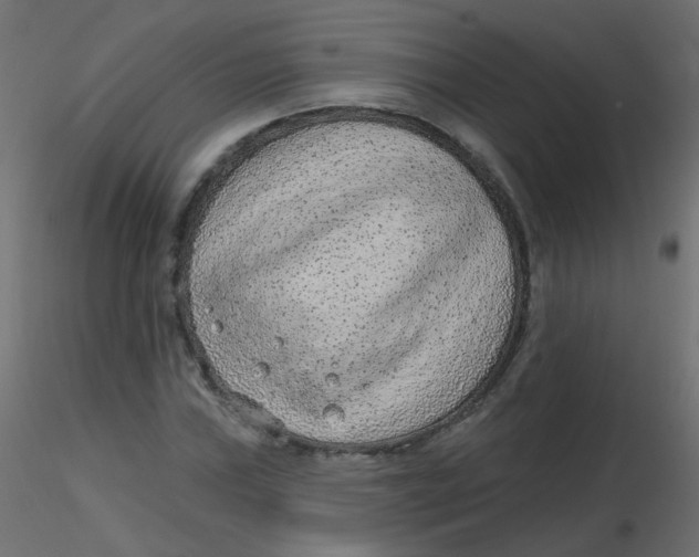 X0000116631019200912312155