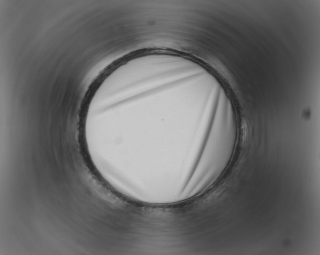 X0000116631020200912312155
