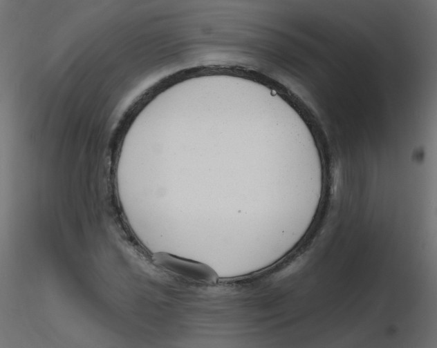 X0000116631021200912312155