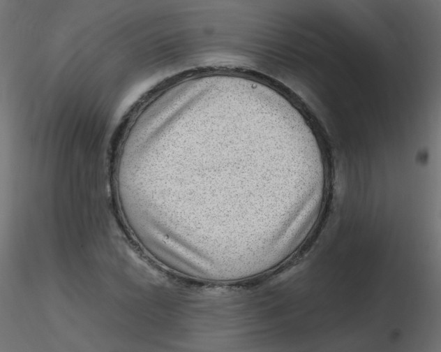 X0000116631022200912312155