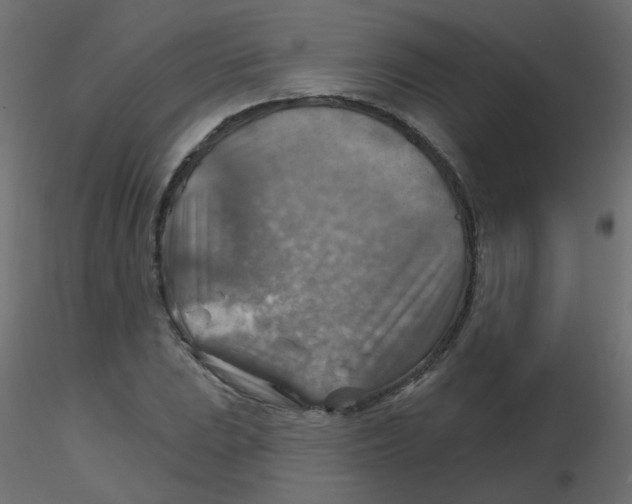 X0000116631023200912312155