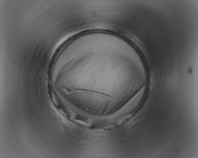 X0000116631024200912312155