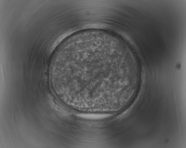 X0000116631025200912312155