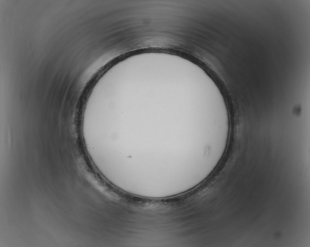 X0000116631026200912312155