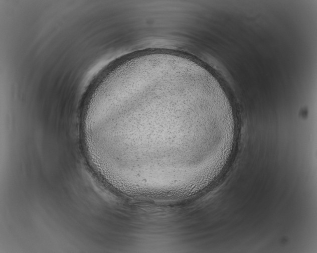 X0000116631027200912312155