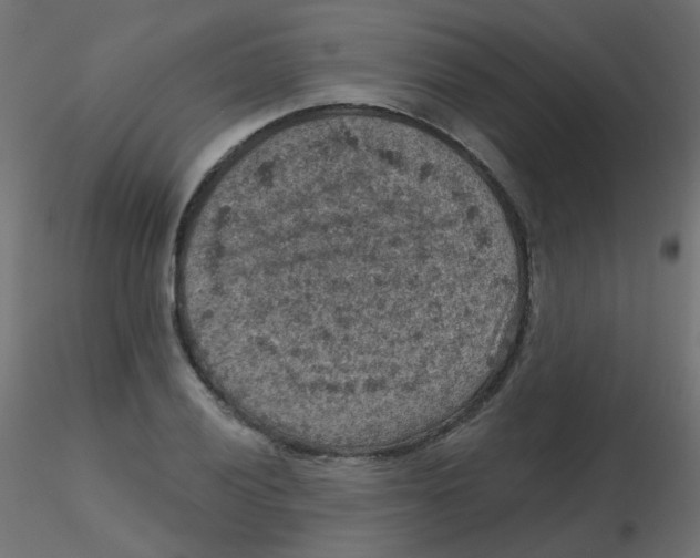 X0000116631028200912312155