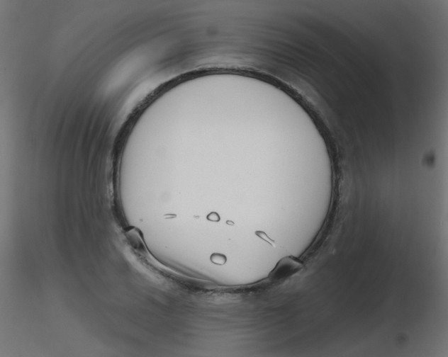 X0000116631030200912312155