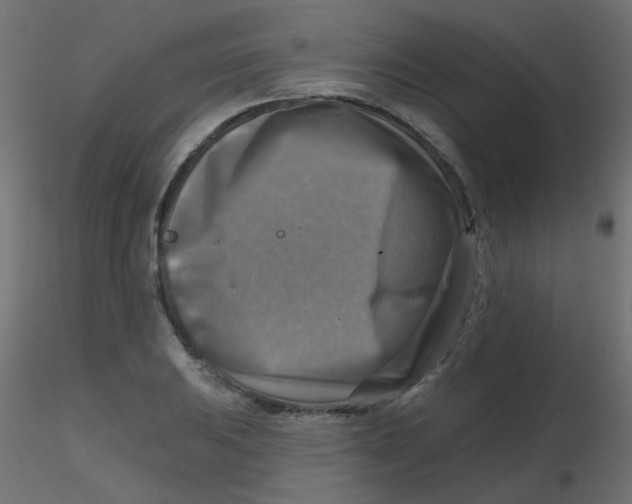 X0000116631031200912312155