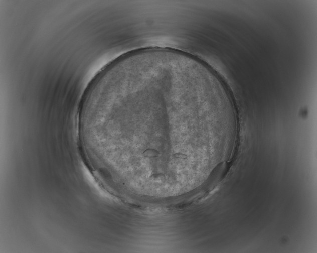 X0000116631032200912312155